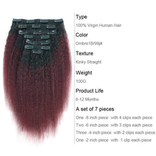 Load image into Gallery viewer, Bre Yaki Straight Burgundy 7 Piece Human Hair Clip-In Extensions
