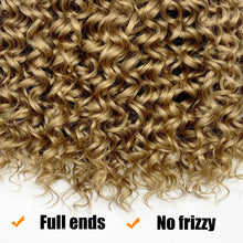 Load image into Gallery viewer, Lola Honey Blonde #27 Long Curl Water Wave Synthetic Crochet Hair Extensions