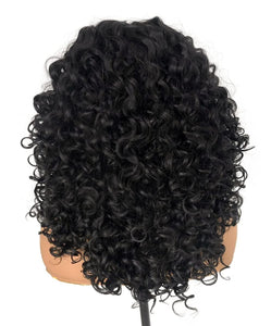 Simone 16 Inch Curly Lace Front Human Hair Blend Wig