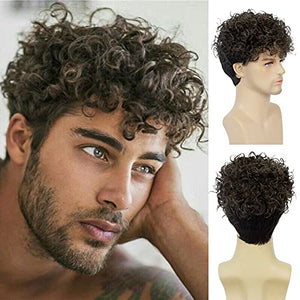 Elliot Ash Brown Synthetic  Short Curly Men's Wig