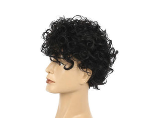 Quentin Black Curly Synthetic Layered Men's Wig