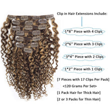 Load image into Gallery viewer, Curly Brown &amp; Honey Blonde Mix Human Hair Clip-Ins