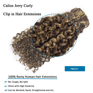 Curly Brown & Honey Blonde Mix Human Hair Clip-Ins