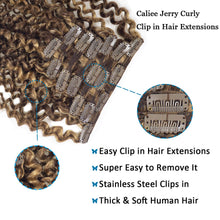 Load image into Gallery viewer, Curly Brown &amp; Honey Blonde Mix Human Hair Clip-Ins