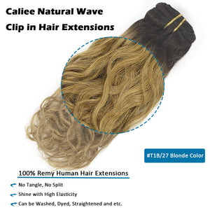 Dirty Blonde #T1B/27 Curly Clip Human Hair Extension