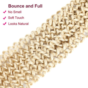 613 French Vanilla Blonde Water Wave Passion Twist Crochet Hair