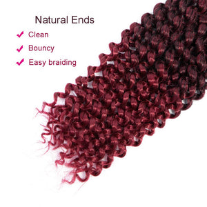 T1B Burgundy Ombre Water Wave Passion Twist Crochet Hair