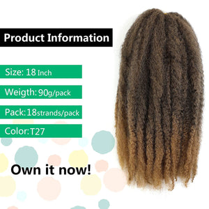 Zari T27 Brown & Blonde Mix Synthetic Marley Braid Hair Extension
