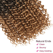 Load image into Gallery viewer, T27 Ombre Water Wave Passion Twist Crochet Hair