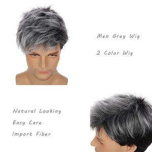 Adam Mixed Gray Synthetic Short Layered Men's Wig