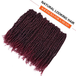 Burgendy Water Wave 22 Inches Senegalese Twist Crochet Hair