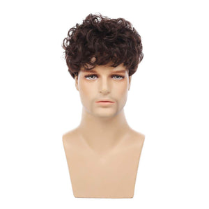 Esteban Curly Synthetic Layered Men's Wig